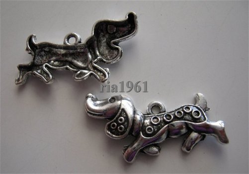 bedeltje/charm dieren:tekkel 4 - 33x16 mm - 1