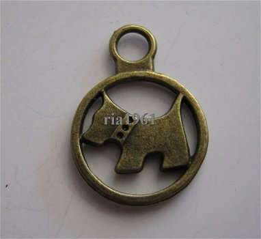 bedeltje/charm dieren:scotch terrier in ring brons - 21x15 mm - 1