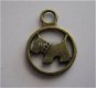 bedeltje/charm dieren:scotch terrier in ring brons - 21x15 mm - 1 - Thumbnail