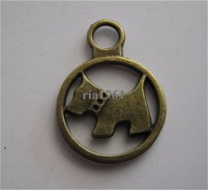 bedeltje/charm dieren:scotch terrier in ring brons - 21x15 mm