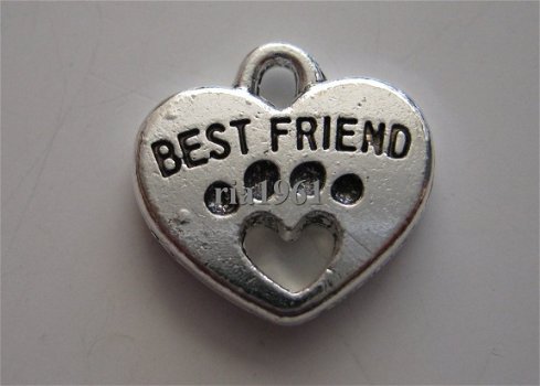 bedeltje/charm dieren : dog's best friend - 15x15 mm - 1