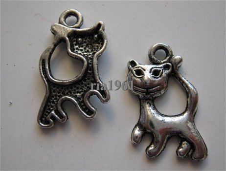 bedeltje/charm dieren:poesje 2 - 22 x14 mm - 1