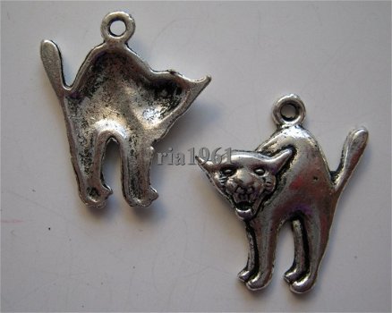 bedeltje/charm dieren : kat boos - 20x16 mm - 1