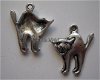 bedeltje/charm dieren : kat boos - 20x16 mm - 1 - Thumbnail