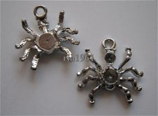 bedeltje/charm dieren:spin 2 - 20x17 mm