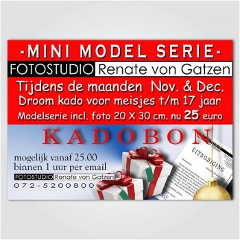 Mini Modellen Serie incl. foto 20x30 cm.slechts 25.00 euro Alkmaar, Heerhugowaard, Bergen, Heiloo - 1