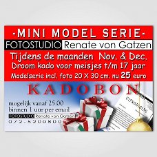 Mini Modellen Serie incl. foto 20x30 cm.slechts 25.00 euro Alkmaar, Heerhugowaard, Bergen, Heiloo