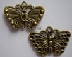 bedeltje/charm vlinders:vlinder 12 goud - 25x18 mm - 1 - Thumbnail