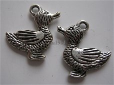 bedeltje/charm vogels:eend staand - 20x20 mm