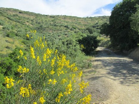 vakantiehuis in zuid spanje, in andalusie - 5