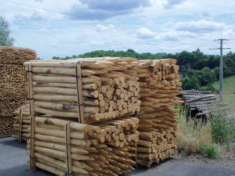 houten afrstaringspalen, kastanje en eiken (gekloofd) - 1