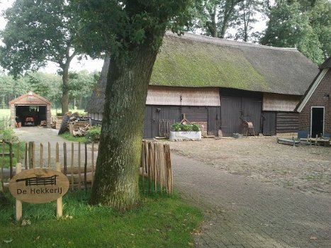 houten afrstaringspalen, kastanje en eiken (gekloofd) - 8