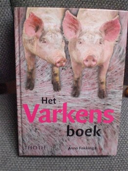 Het Varkensboek Anno Fokkinga - 1