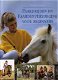 Nicole Smith -Paardrijden En Paardenverzorging Voor Beginners (Hardcover/Gebonden) - 1 - Thumbnail