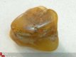 #31 Barnsteen, Trommelsteen Amber tumbled stone - 1 - Thumbnail