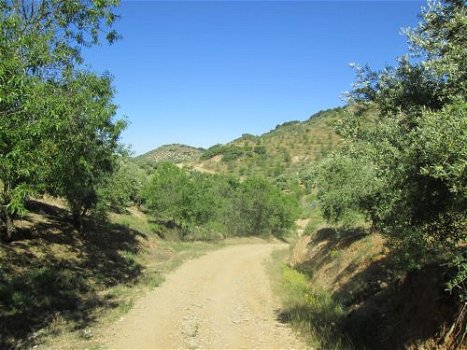 wandelen in ANdalusie, wandelroutes - 4