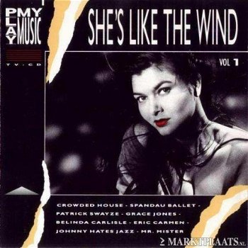 Play My Music 1 - She's Like the Wind VerzamelCD - 1