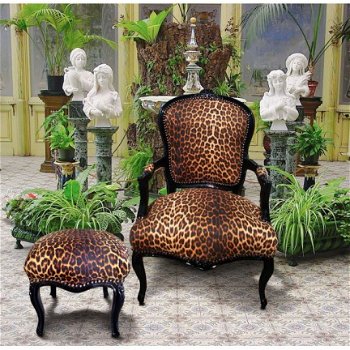 Barok stoelen goud verguld bekleed met leopard look - 5