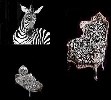 Barok troon zebra zilver verguld bekleed met zebra stof collectie jungle look - 5