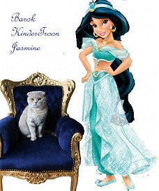 Barok kindertronen little princess jasmine goud verguld bekleed met diverse printen