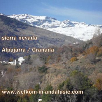 vakantie andalusie witte dorpen bezoeken - 5