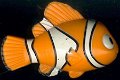Disney-Pixar Nemo Kellogg's gadget x 3 - 4 - Thumbnail