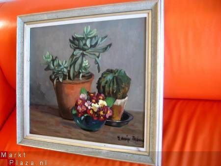 Vetplant, Cactus en Primula's - W. Edmée Broers 1876-1955 - 1