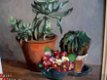 Vetplant, Cactus en Primula's - W. Edmée Broers 1876-1955 - 2 - Thumbnail