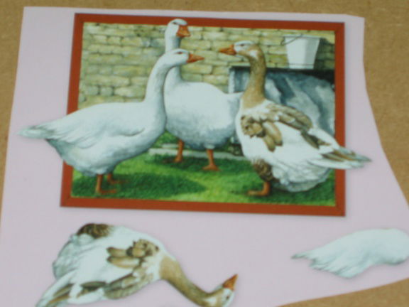 3D SET voor WENSKAART --- KAART nr. 5 --- EENDEN - Afbeelding 3