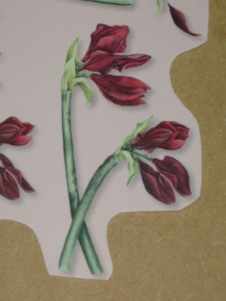 3D SET voor WENSKAART --- KAART nr. 4 --- BLOEMEN, BORDEAUXROOD - Afbeelding 3