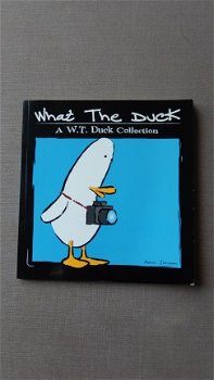 What the Duck - 1