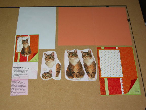 3D SET voor WENSKAART --- KATTEN --- nr. 17 --- POES ZIT er MOOI BIJ - nr. 1