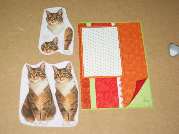 3D SET voor WENSKAART --- KATTEN --- nr. 17 --- POES ZIT er MOOI BIJ - Afbeelding 2