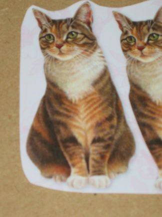 3D SET voor WENSKAART --- KATTEN --- nr. 17 --- POES ZIT er MOOI BIJ - Afbeelding 3