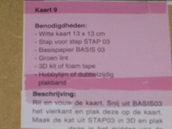 3D SET voor WENSKAART --- KATTEN --- nr. 9 --- POES ZIT in DE GIETER - Afbeelding 4