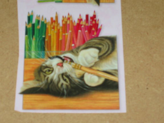 3D SET voor WENSKAART --- KATTEN --- nr. 6 --- POES KNABBELT op een POTLOOD - Afbeelding 3