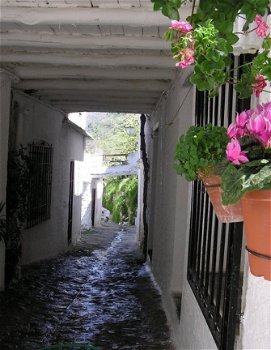 vakantie Alpujarra Andalusie, wandelen, routes, wandelroutes - 5