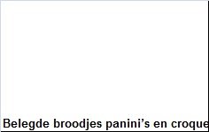 Belegde broodjes panini’s en croque monsieurs Tielt - 1