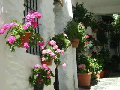 prachtig vakantiehuis in Andalusie in de bergen, wandeltochten - 2