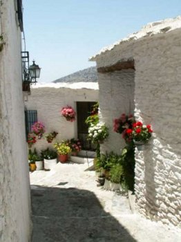 huis met zwembad huren granada andalusie - 3