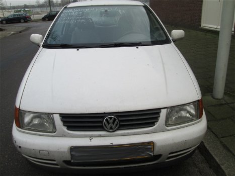 Volkswagen Polo 1.6 wit 1999 Plaatwerk en onderdelen - 3