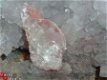 #1 Geode " Amethist " kwarts met Calciet Marokko - 1 - Thumbnail