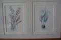 2 schilderijen met elk 3 aquarellen van bloemen form 52x25 tekening 9x14 cm Gekocht tijden een expos - 1 - Thumbnail