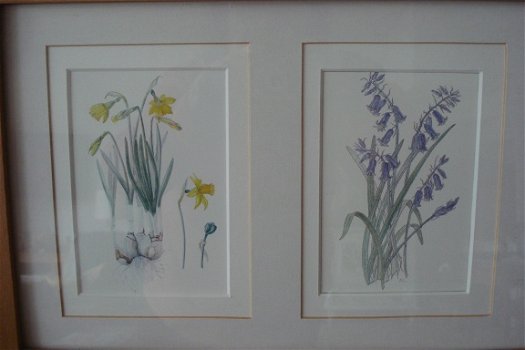 2 schilderijen met elk 3 aquarellen van bloemen form 52x25 tekening 9x14 cm Gekocht tijden een expos - 2