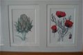 2 schilderijen met elk 3 aquarellen van bloemen form 52x25 tekening 9x14 cm Gekocht tijden een expos - 3 - Thumbnail