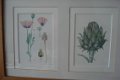2 schilderijen met elk 3 aquarellen van bloemen form 52x25 tekening 9x14 cm Gekocht tijden een expos - 4 - Thumbnail