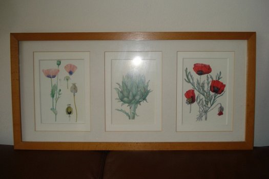 2 schilderijen met elk 3 aquarellen van bloemen form 52x25 tekening 9x14 cm Gekocht tijden een expos - 5