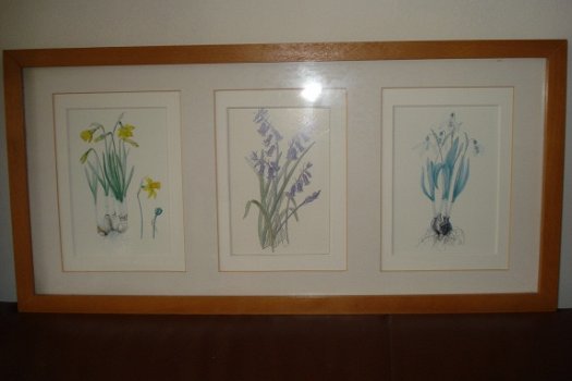 2 schilderijen met elk 3 aquarellen van bloemen form 52x25 tekening 9x14 cm Gekocht tijden een expos - 6