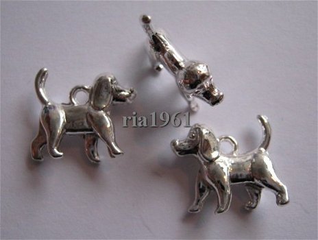 bedeltje/charm dieren : hondje 6 - 16x15 mm - 1