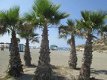 spanje andalusie, vakantiehuis met een zwembad huren - 7 - Thumbnail